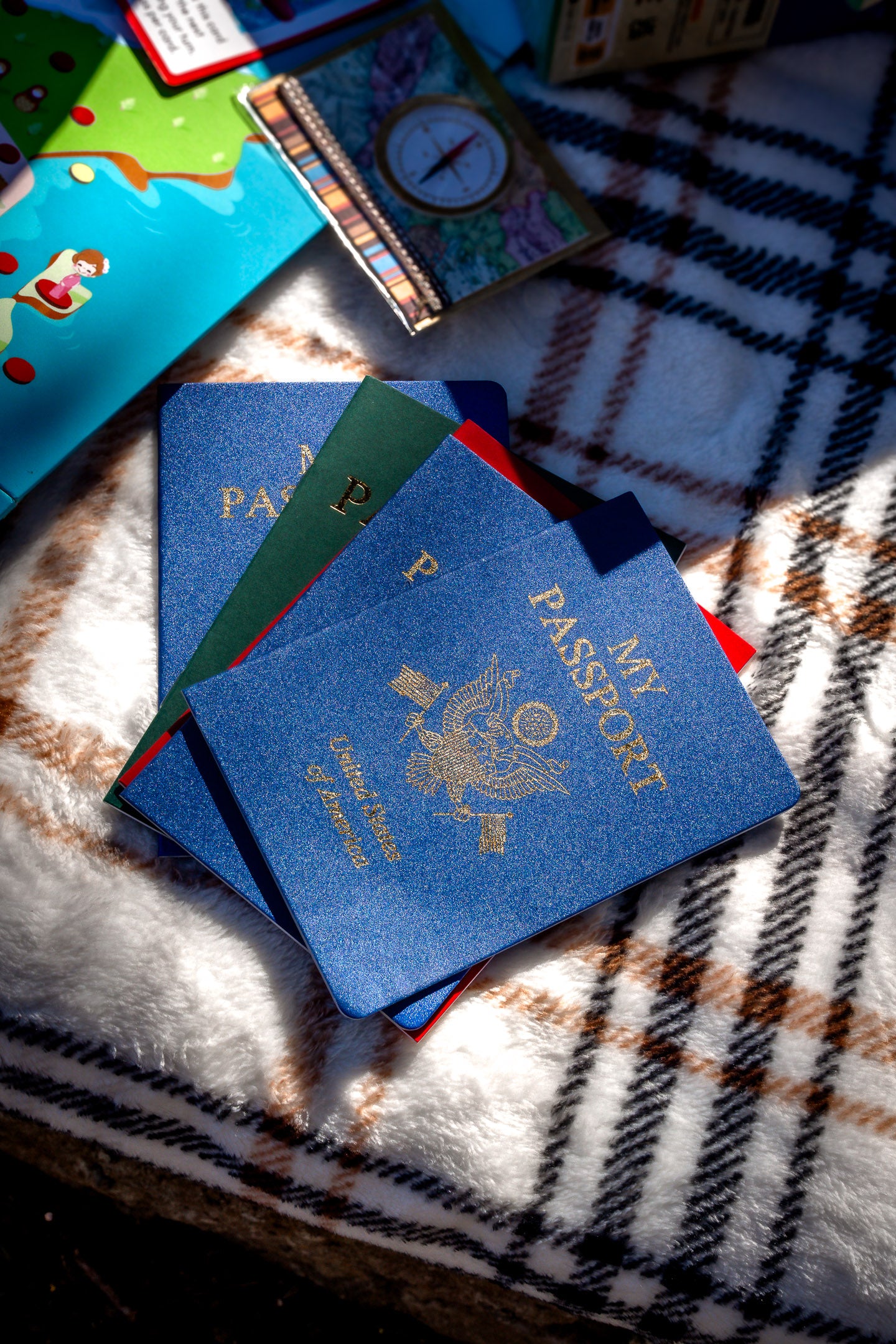 Sightseeing with Sandy:  The Global Adventure